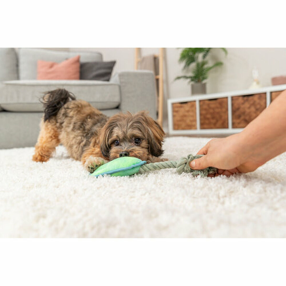 V5HFDCC0FE6EA8790430B5318DDB6F201C4R7462188P6