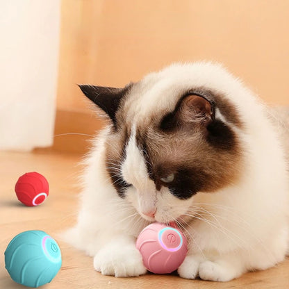 La balle interactive la plus efficace contre l’ennui des chats