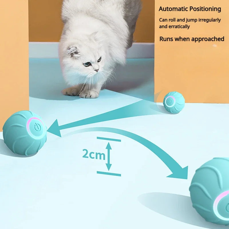 La balle interactive la plus efficace contre l’ennui des chats