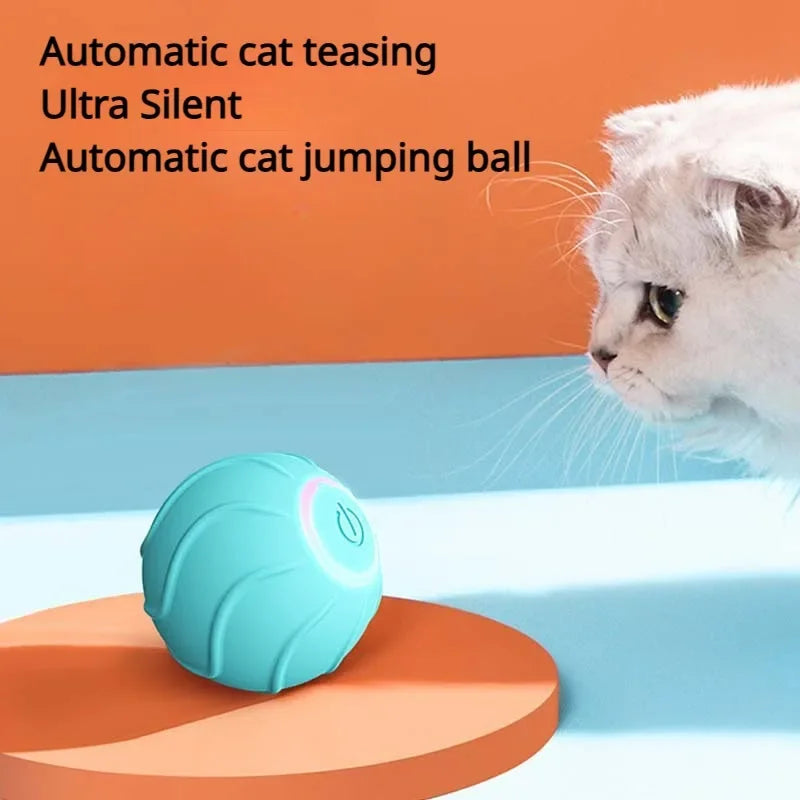 La balle interactive la plus efficace contre l’ennui des chats