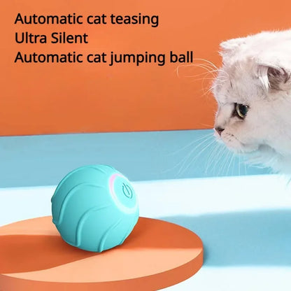 La balle interactive la plus efficace contre l’ennui des chats